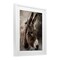 Stupell Industries All Ears Donkey Framed Print Under Glass, design by Robin-Lee Viera